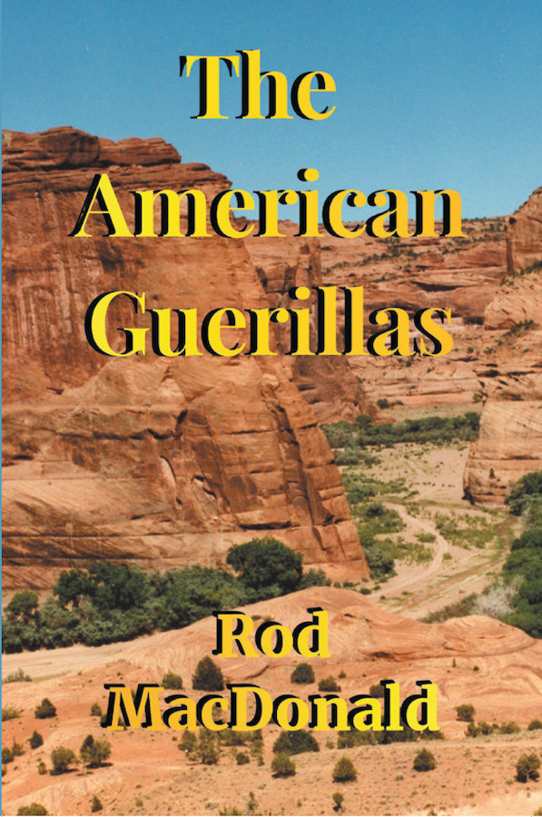 The American Guerillas